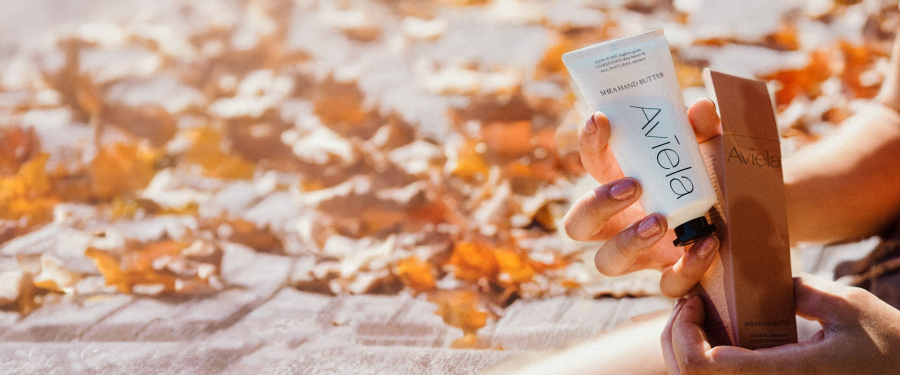 Hands holding the Aviela Shea Hand Butter tube and its box against a bright, blurry background of autumnal leaves.