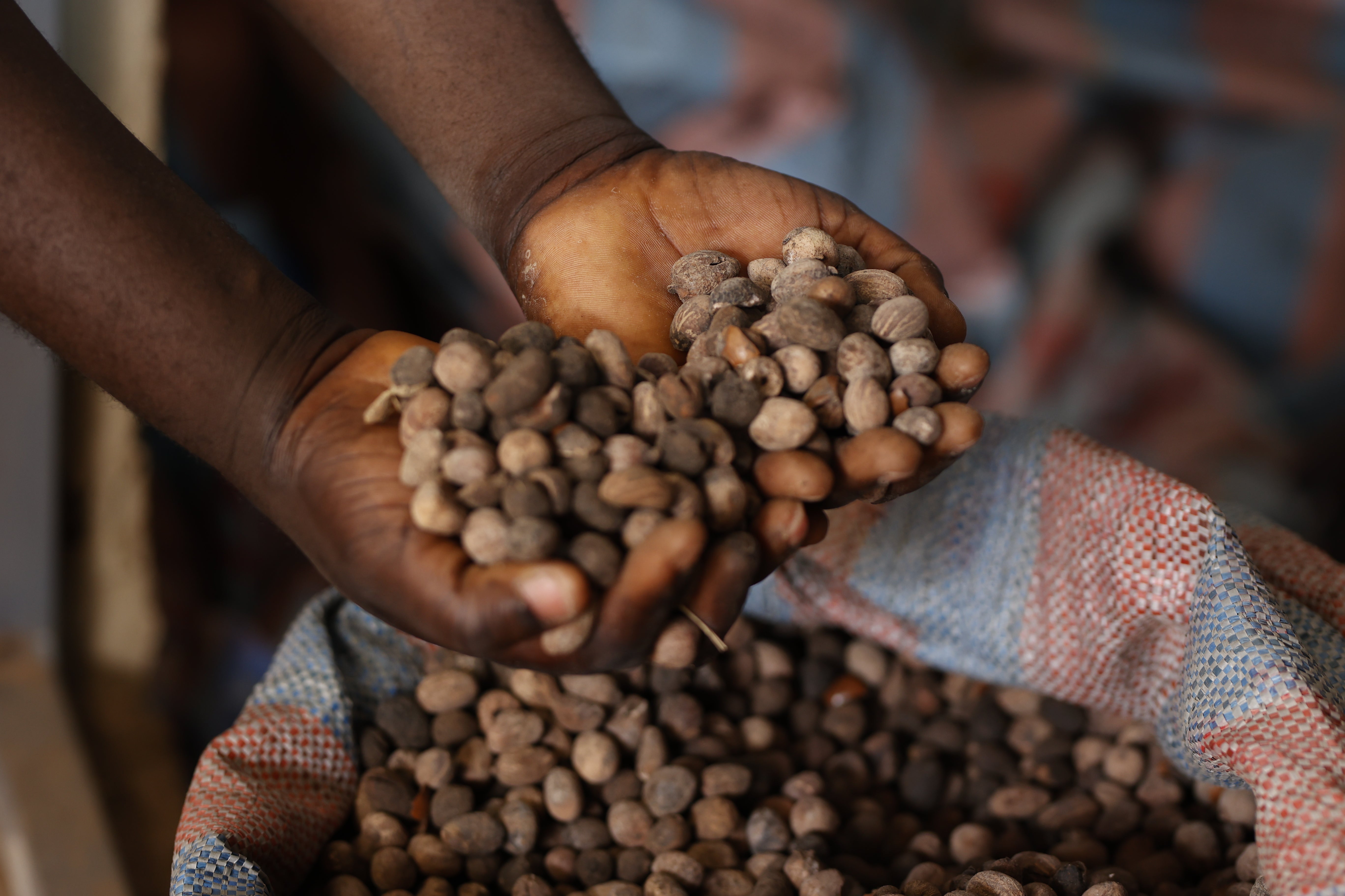 What really is Shea Butter?