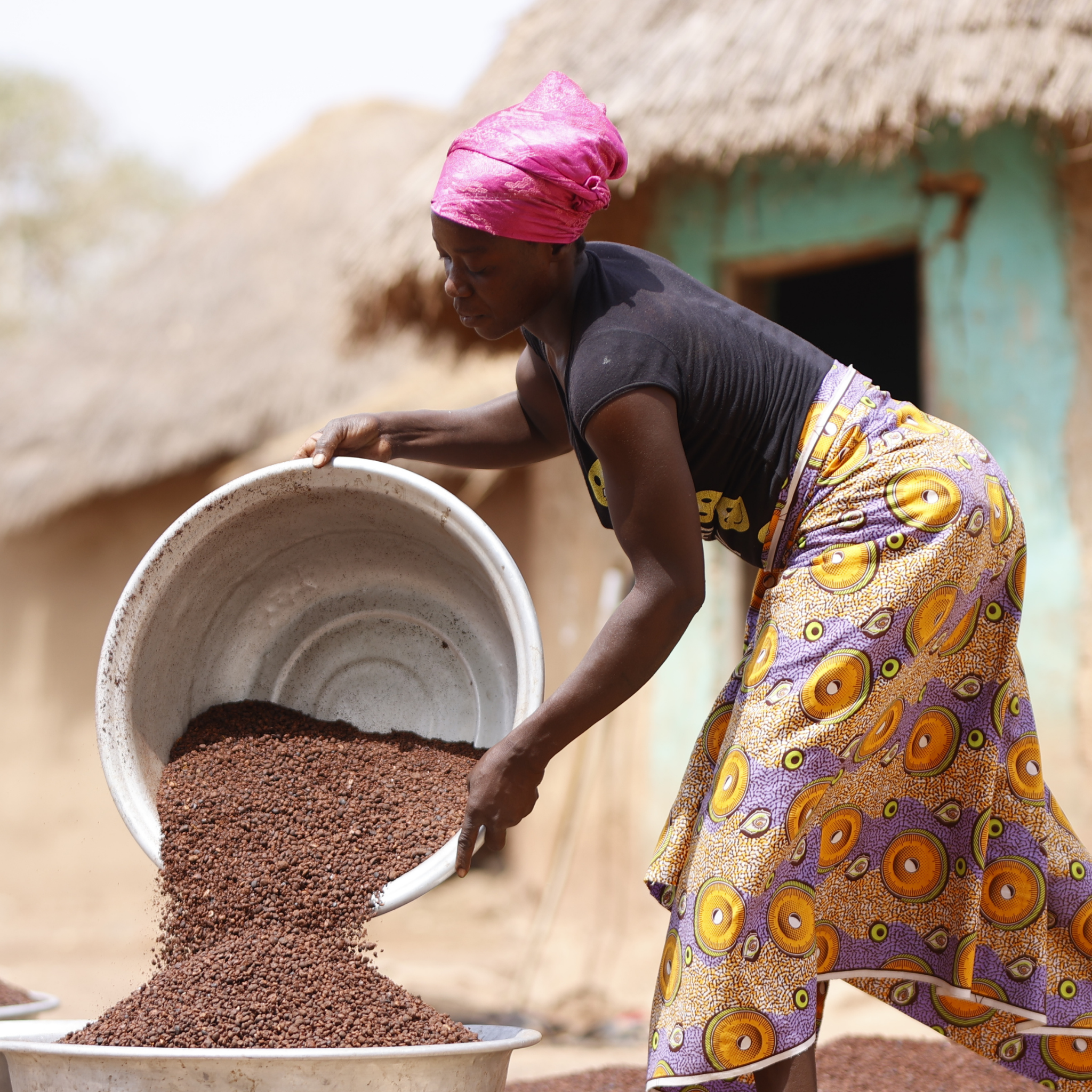 Image of a woman pouring shea nuts into a bowl