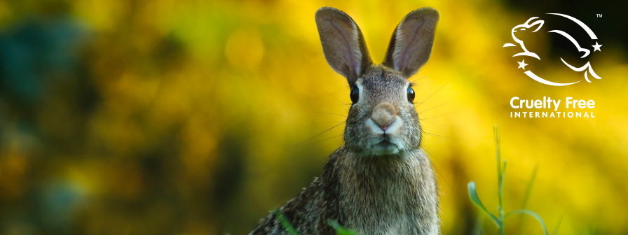 Saving our animals and supporting your skin
